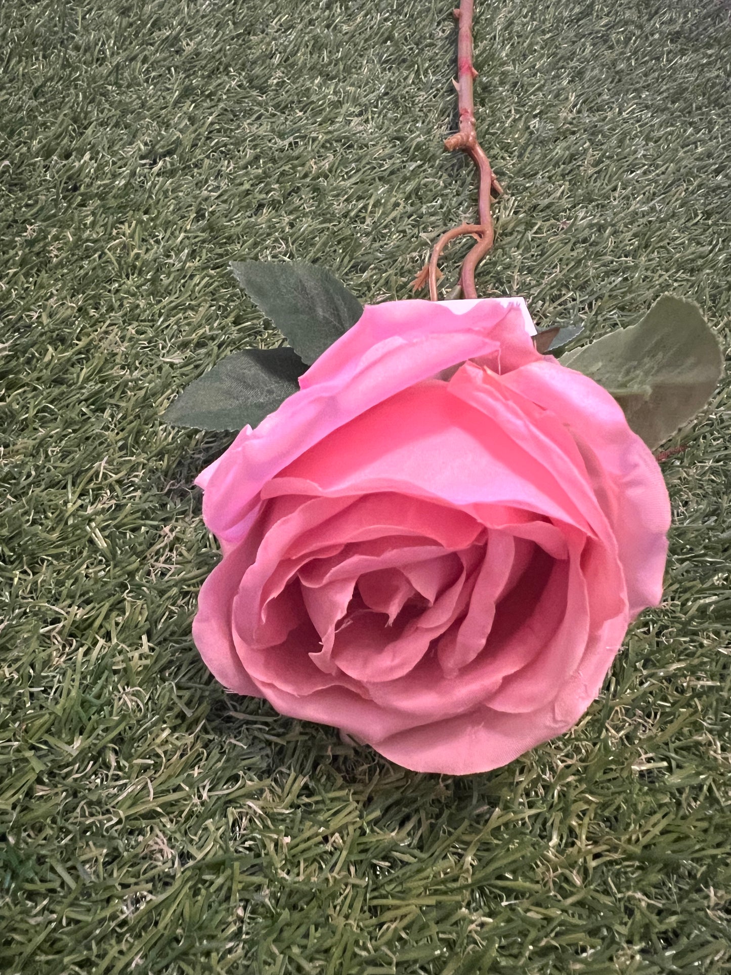 50cm SINGLE GLOBE ROSE PINK