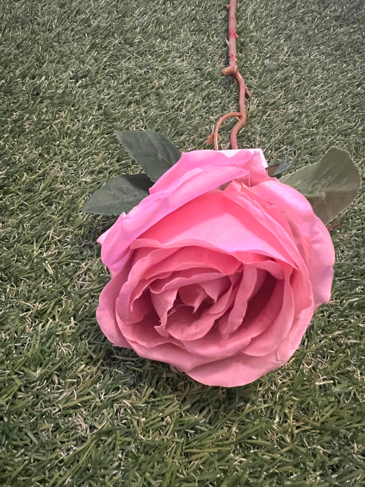 50cm SINGLE GLOBE ROSE PINK