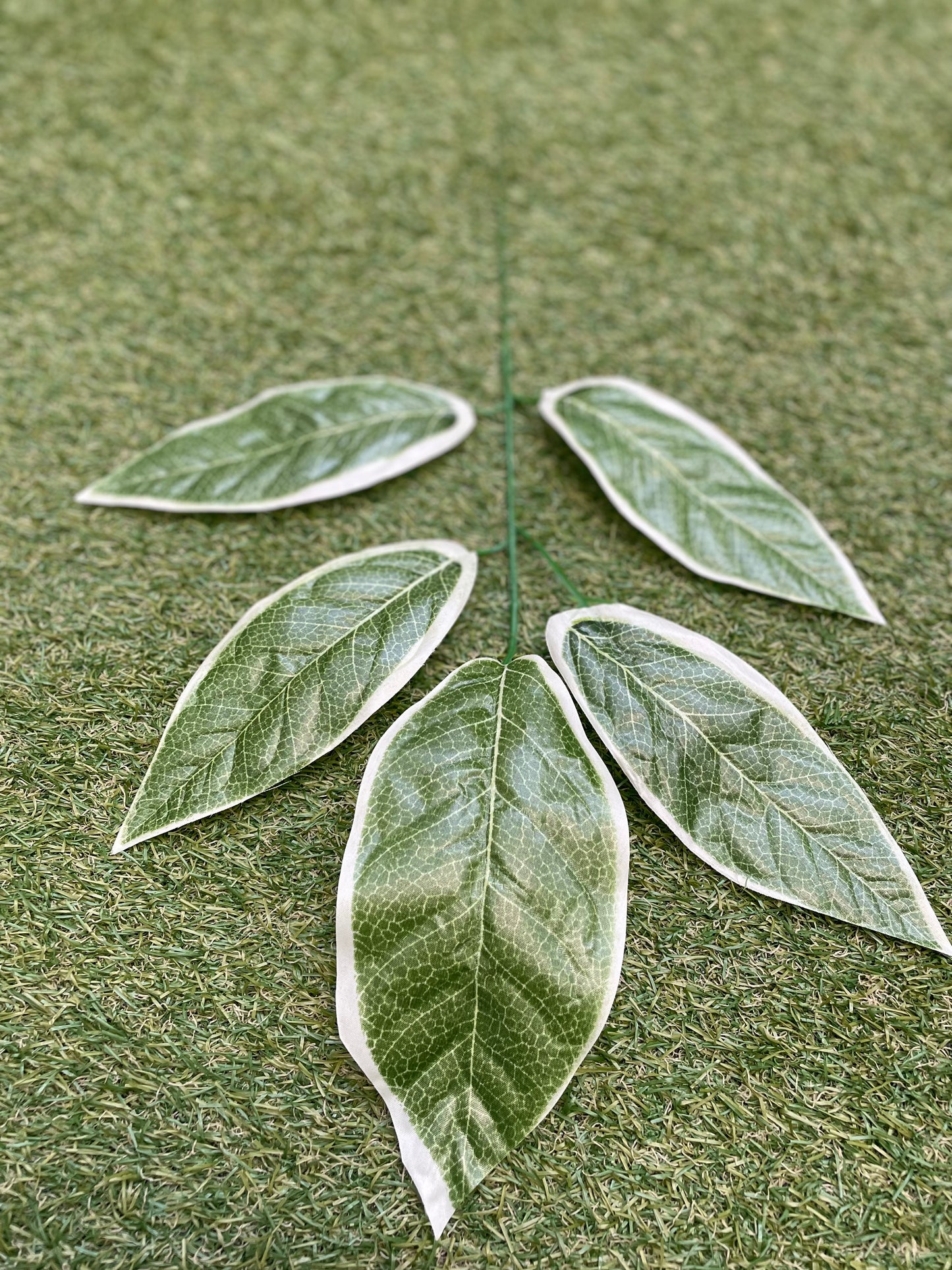 55cm MAGNOLIA LEAVES VARIEGATED PK6