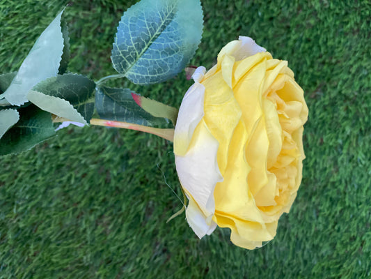 61cm SINGLE CABBAGE ROSE YELLOW