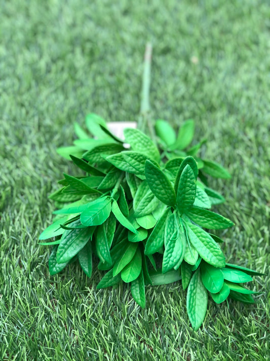 BAY LEAF BUNCH GREEN 33cm