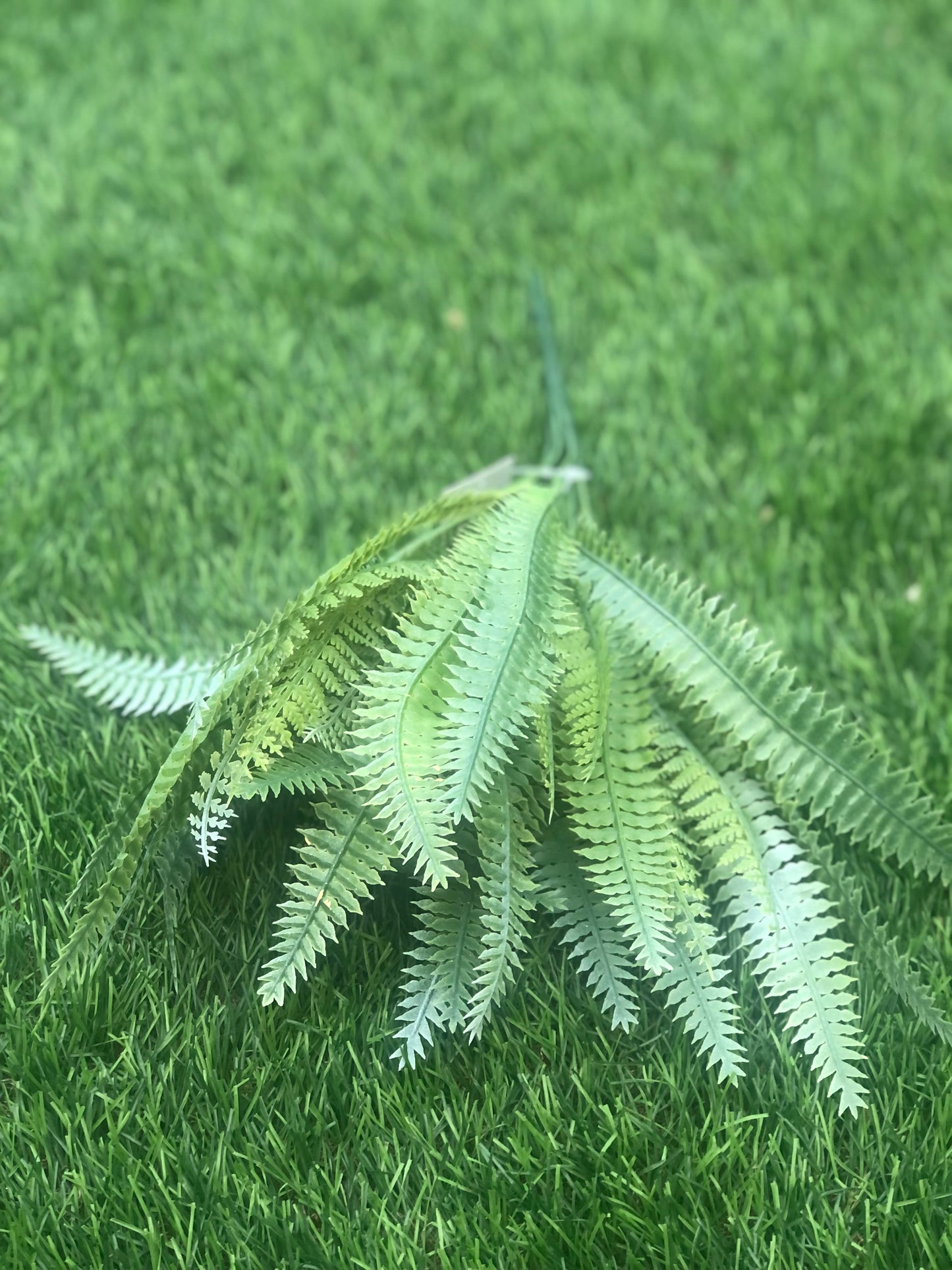 SMALL WAXED LOOK FERN BUSH GREEN 34cm