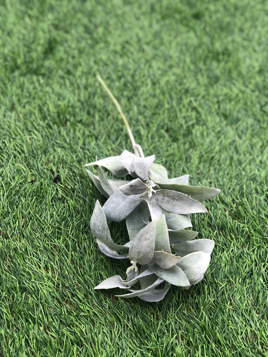 FLOCKED SAGE LEAF 33cm