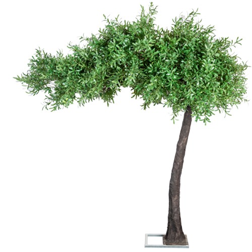 3.2 METRE GREEN OLIVE DELUXE CANOPY TREE