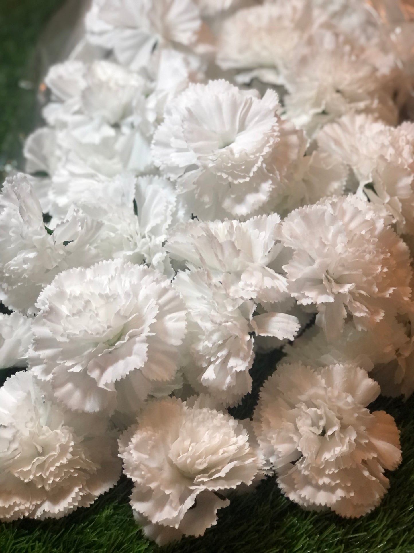 WHITE CARNATION HEADS BAG 100