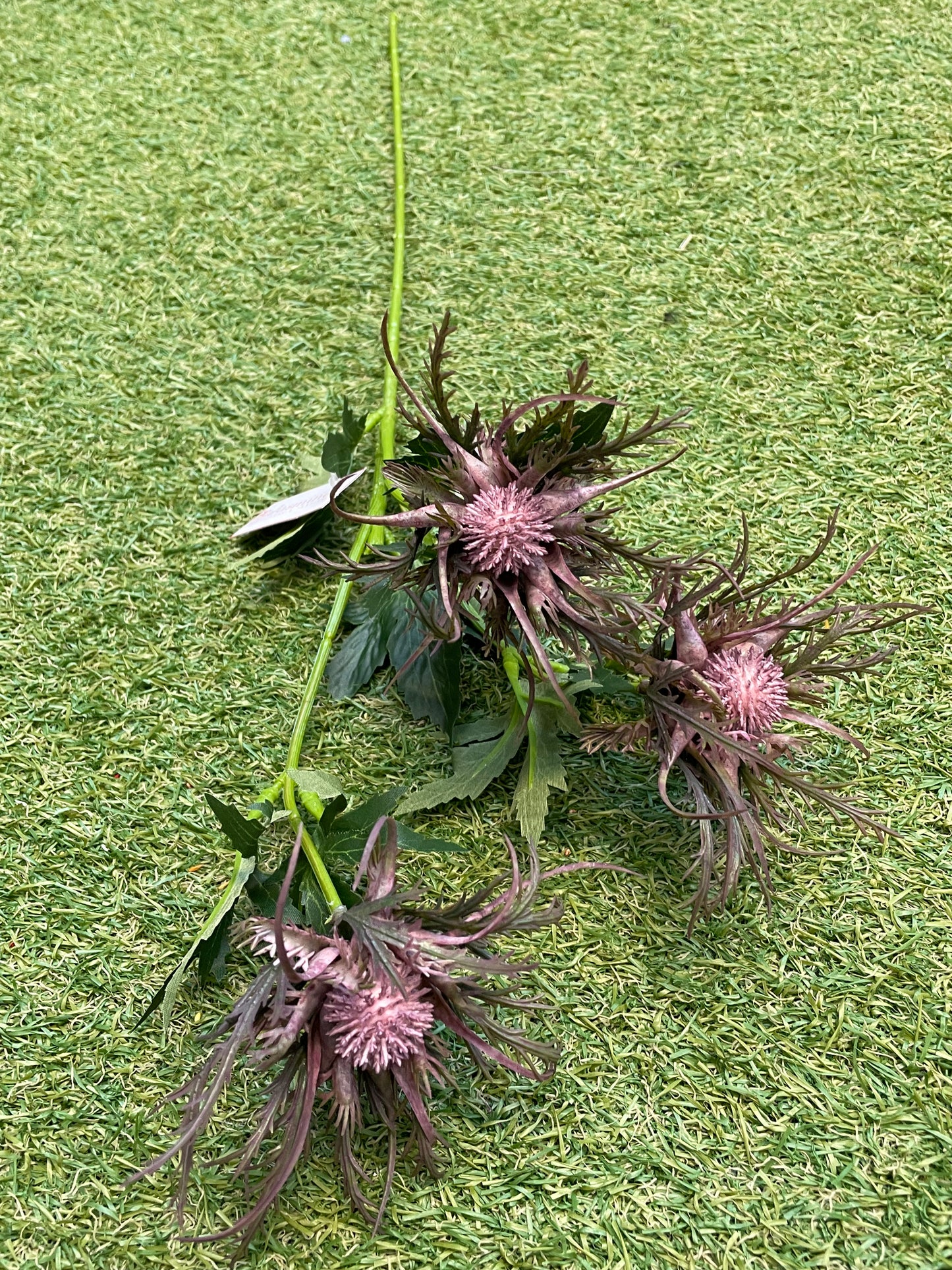 67cm SPIDER THISTLE MAUVE