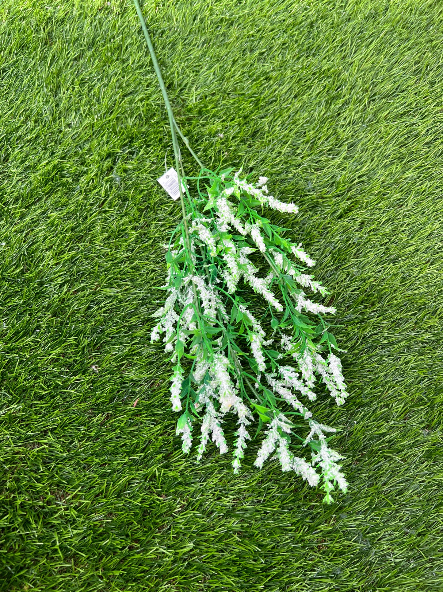 WILD LAVENDER BUNCH LARGE WHITE