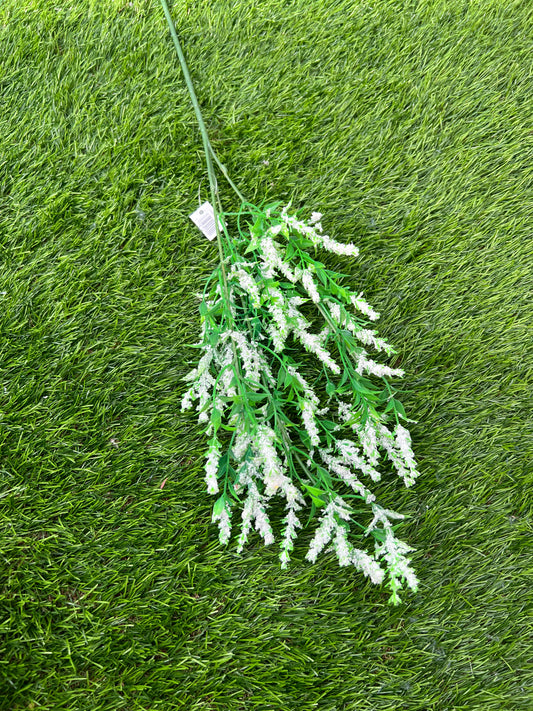 WILD LAVENDER BUNCH LARGE WHITE