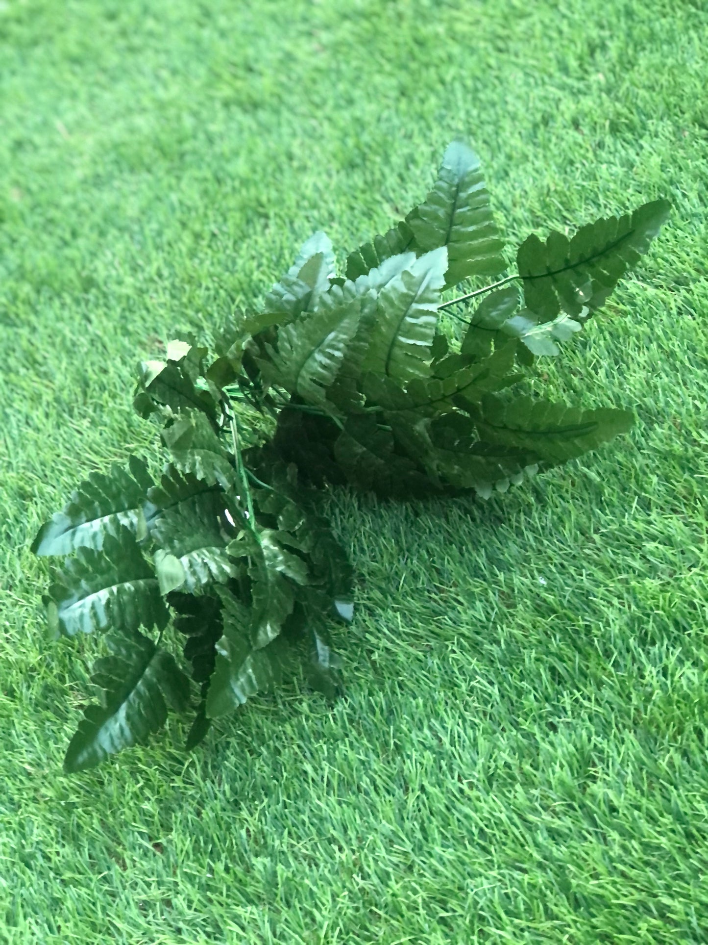 44cm LEATHER FERN BUSH