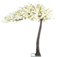 3.2 METRE IVORY DELUXE CANOPY TREE