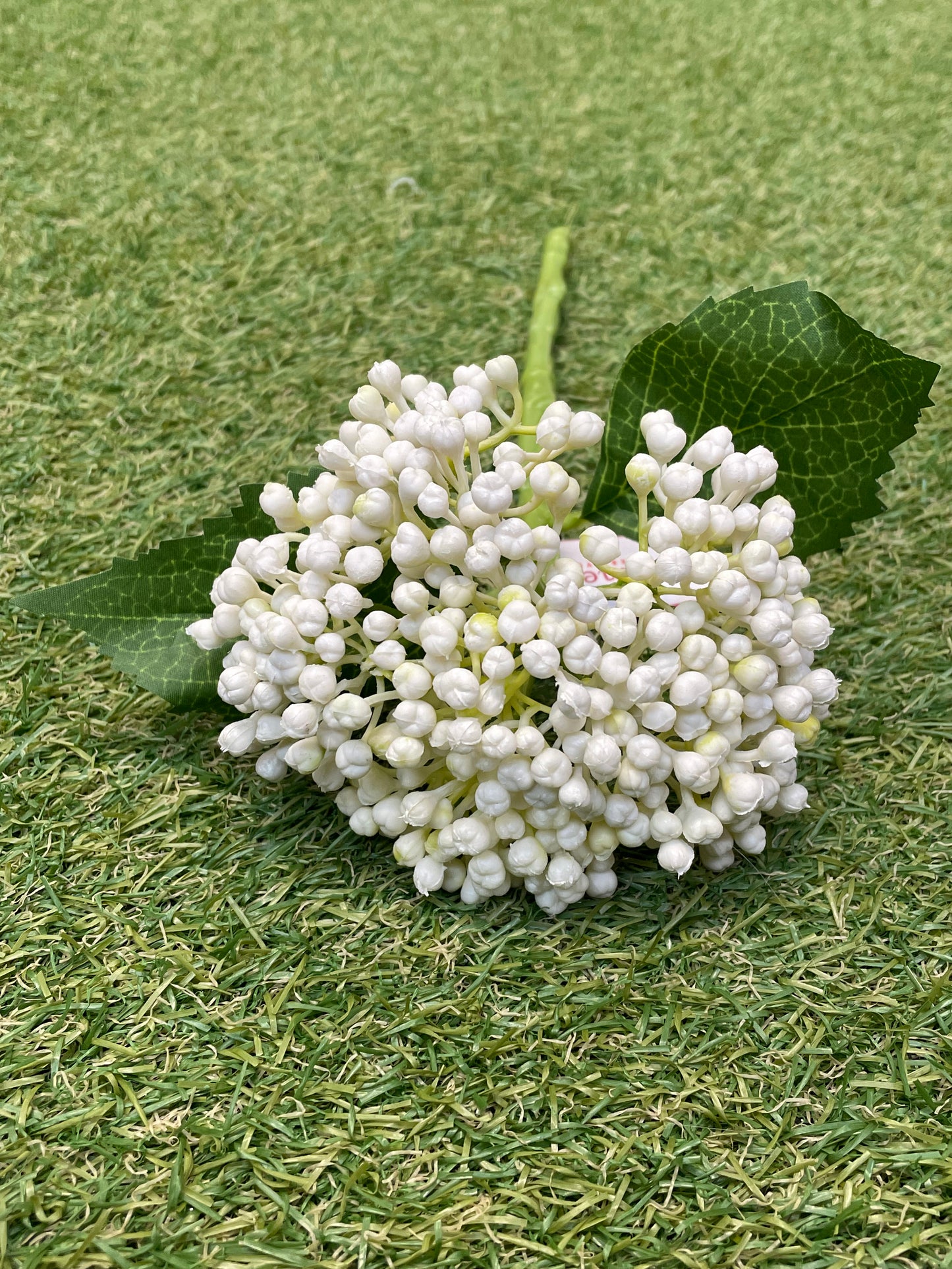 HYDRANGEA BERRY BUD SPRAY IVORY 34cm