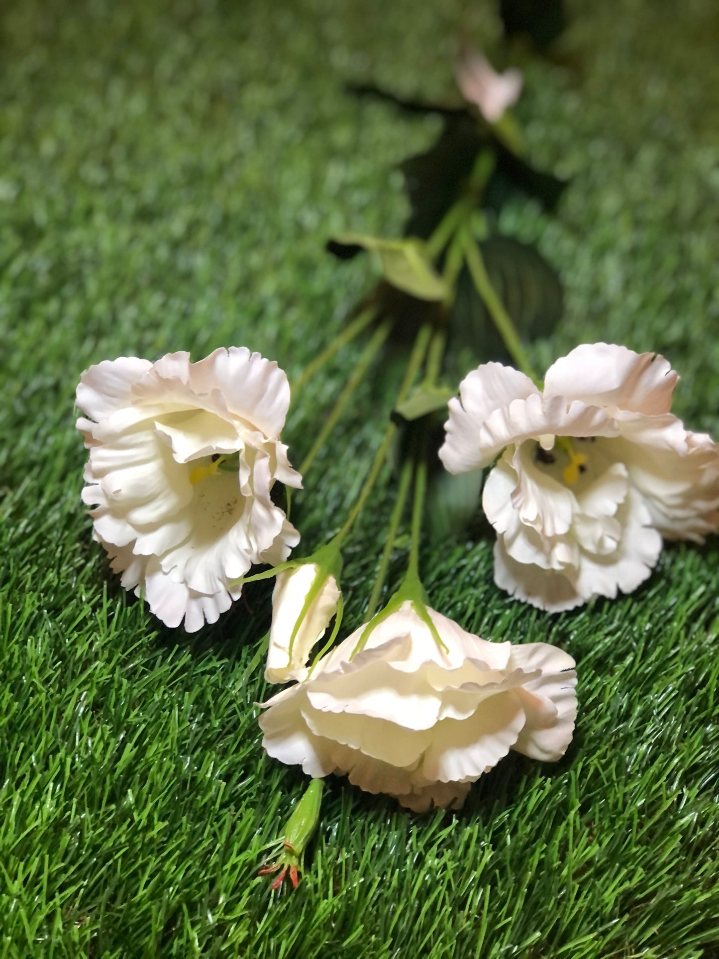 87cm LISIANTHUS IVORY