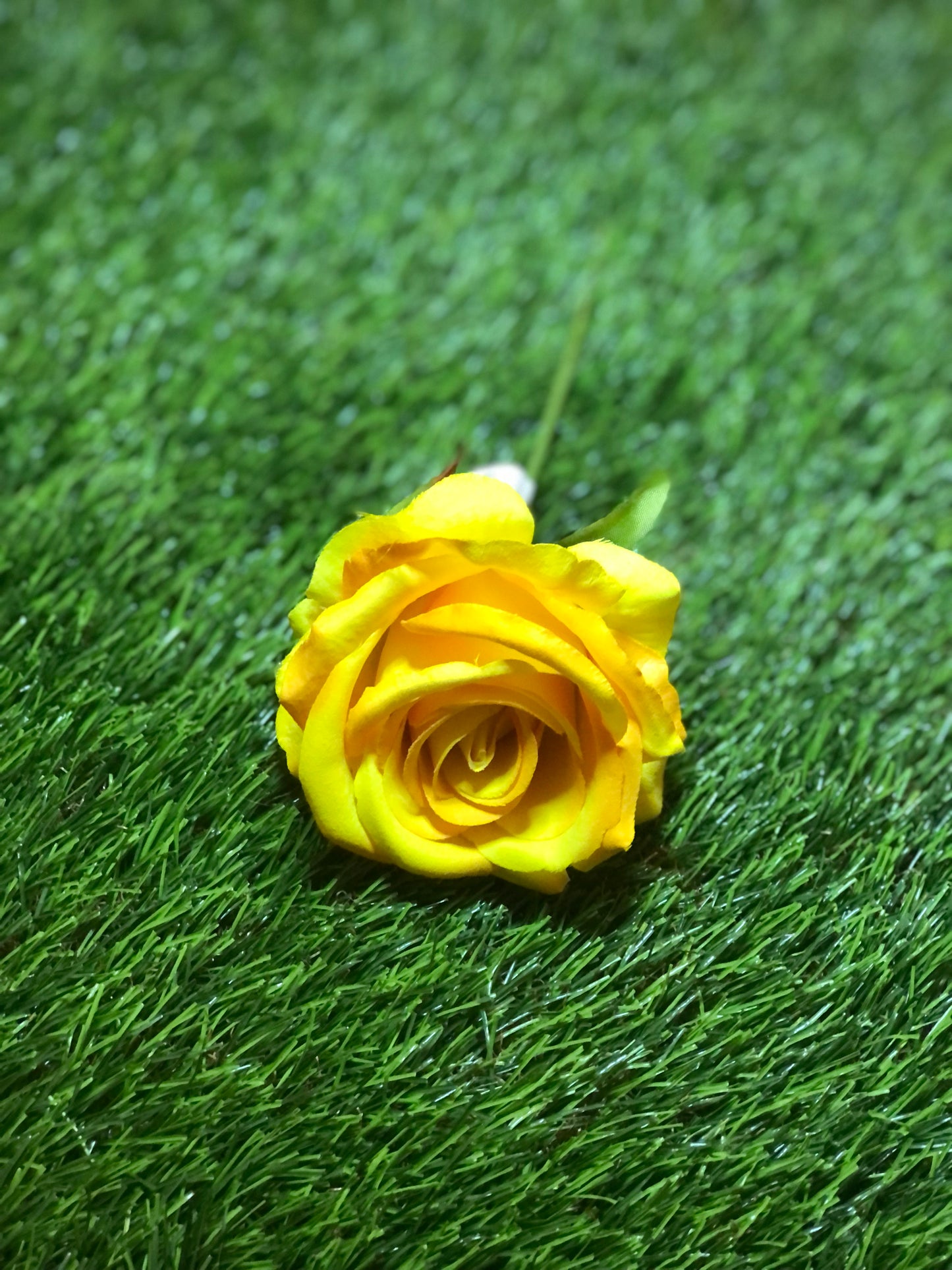 27cm SINGLE OPEN ROSE YELLOW