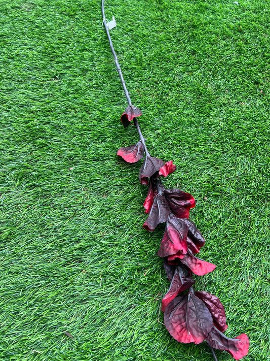 RED LONG STEM FALL LEAF