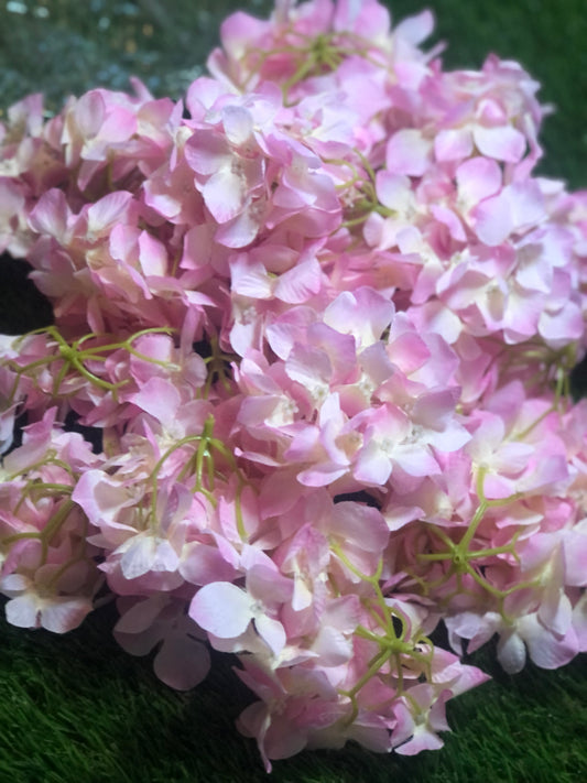 HYDRANGEA FLOWER HEADS BAG 50 PINK