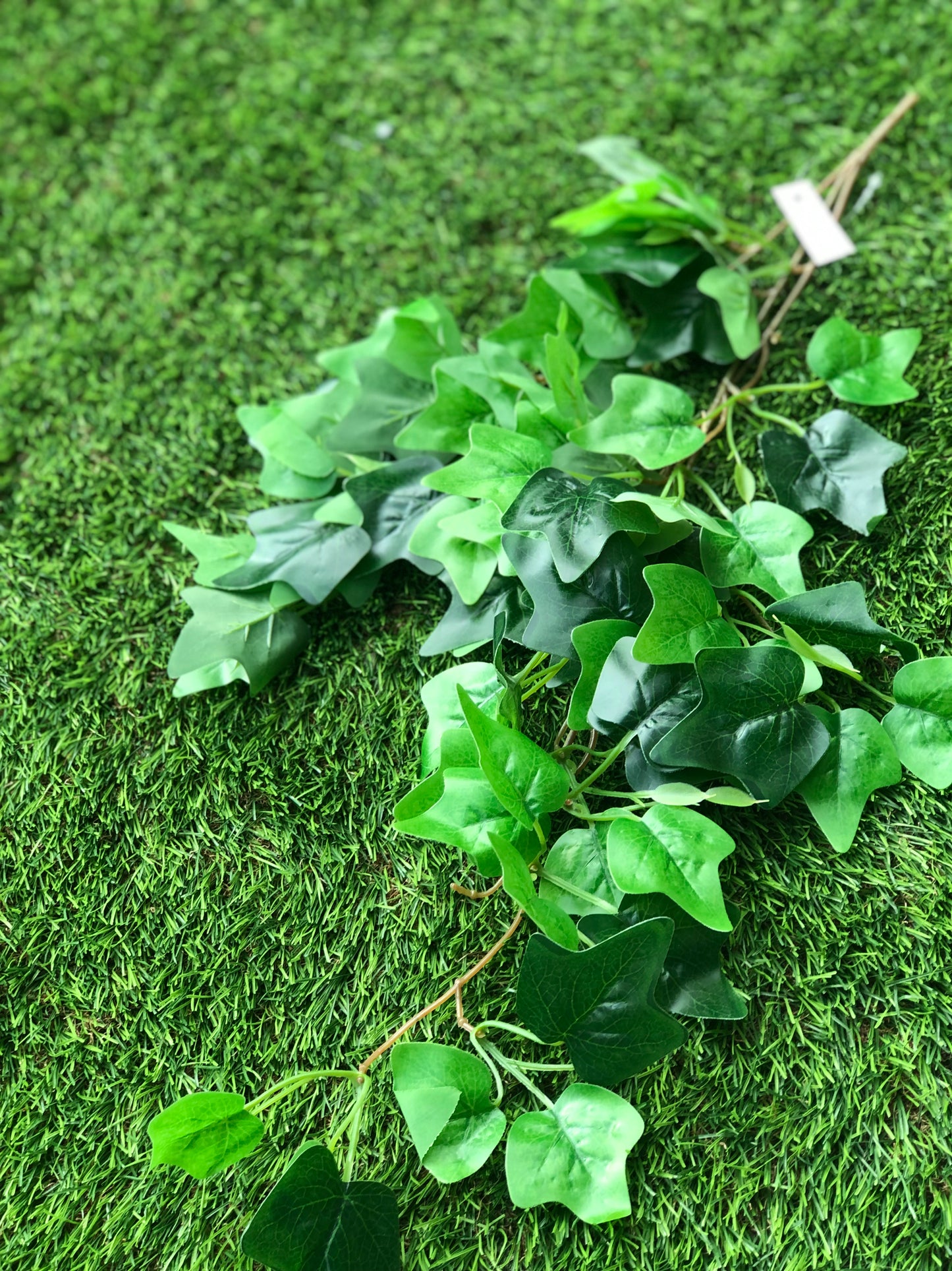 60cm BUDGET TRAILING IVY GREEN