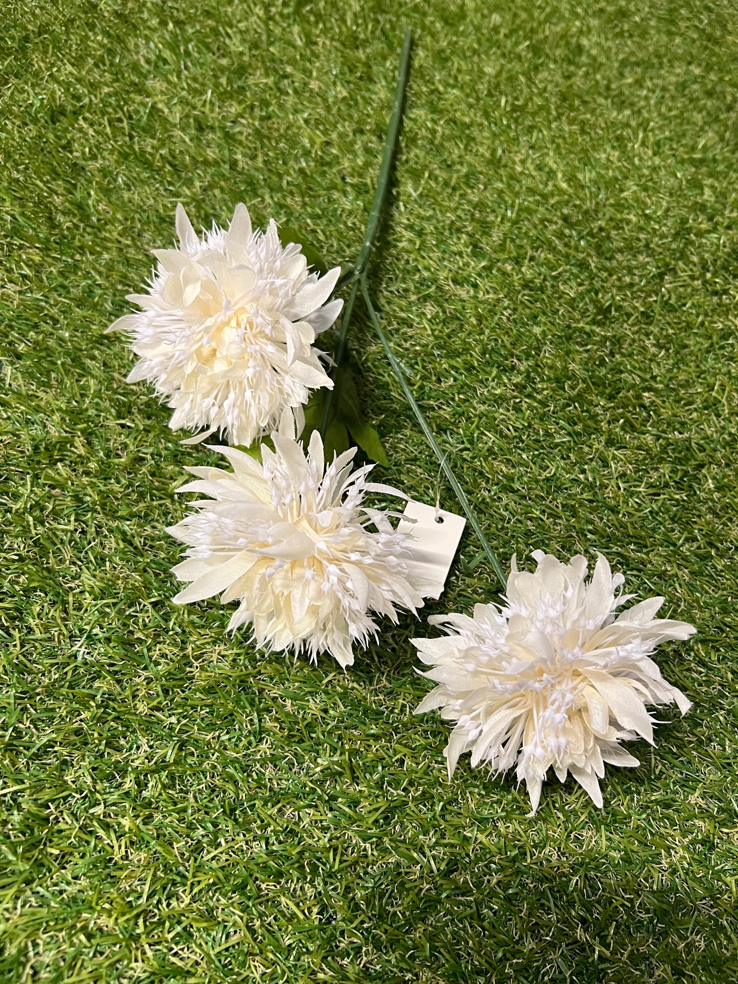 TRIPLE SEEDED IVORY POM POM