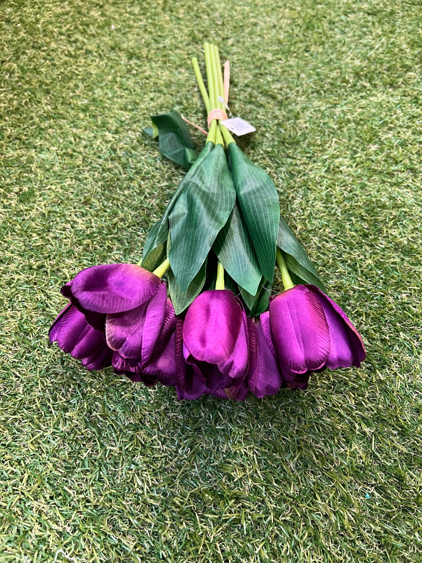 TULIP BUNCH PURPLE