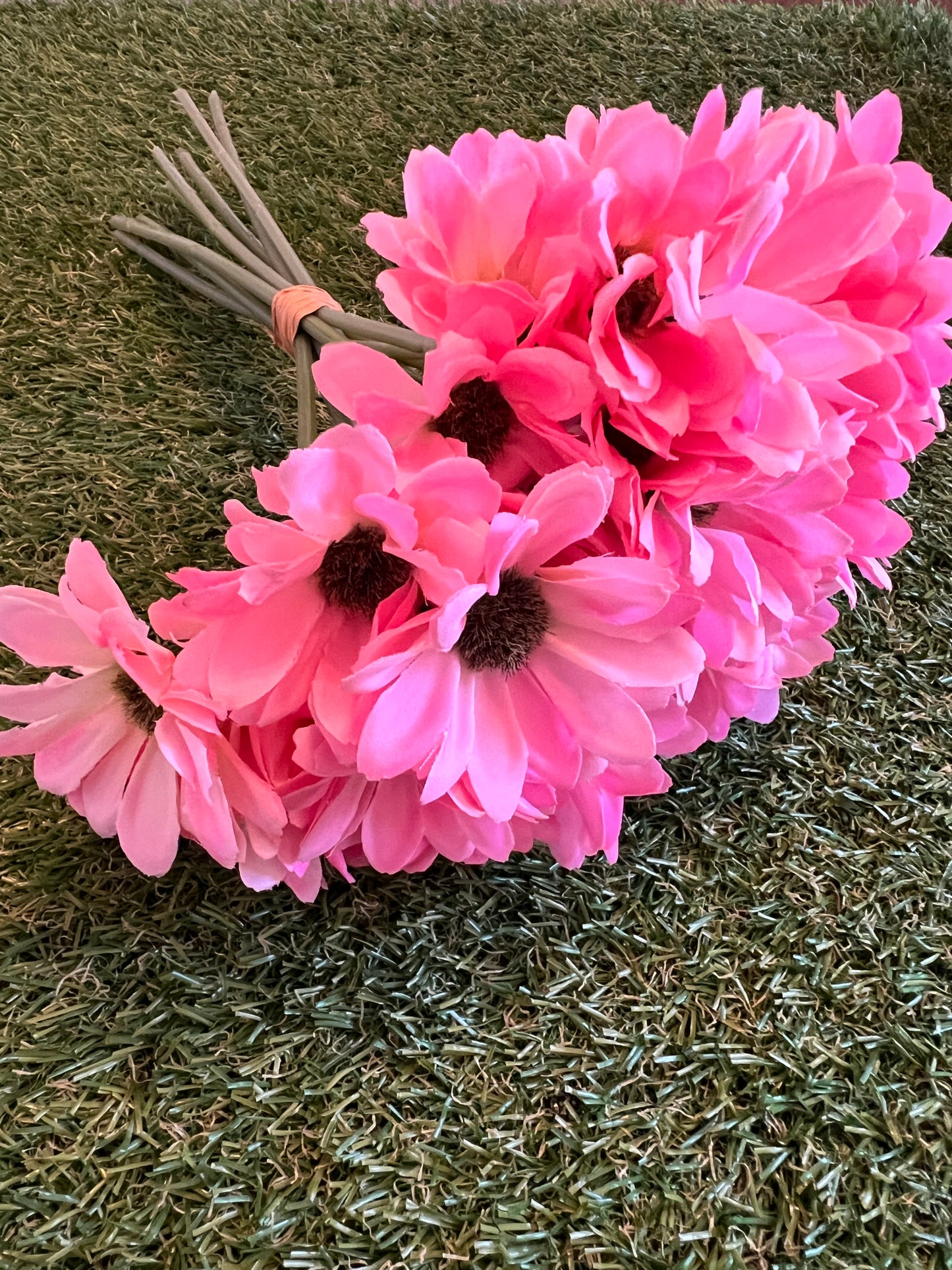 30cm MINI GERBERA BUNDLE PALE PINK (36 head)