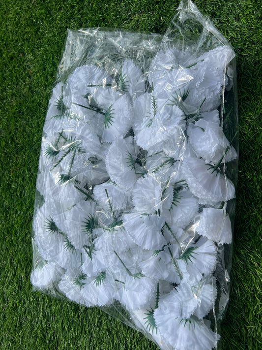 CARNATION PICK PK60 with stems WHITE