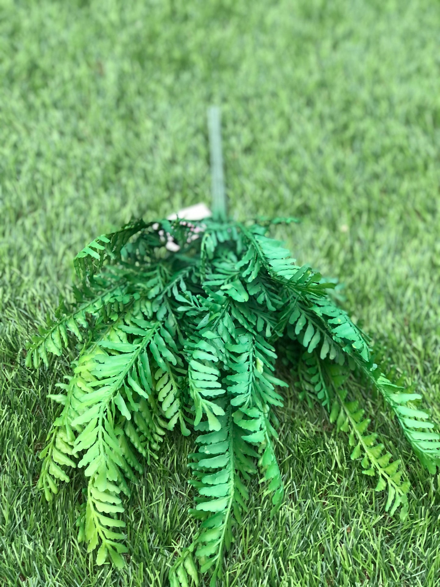 SOFT DARK GREEN FERN BUSH 43cm