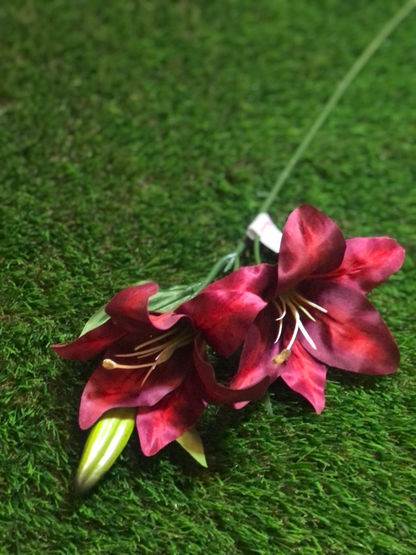 66cm DOUBLE LILY STEM BURGANDY