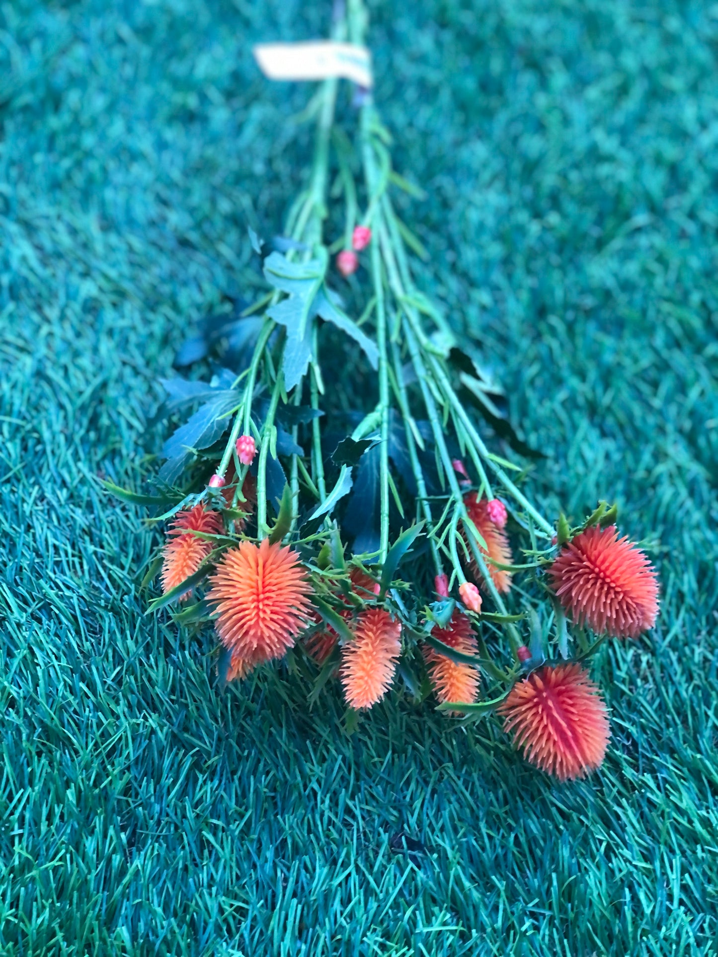 68cm SEA HOLLY BUNCH ORANGE