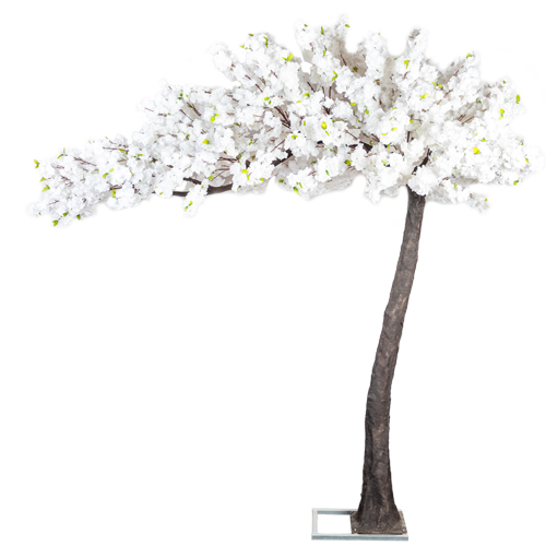 3.2 METRE WHITE DELUXE CANOPY TREE