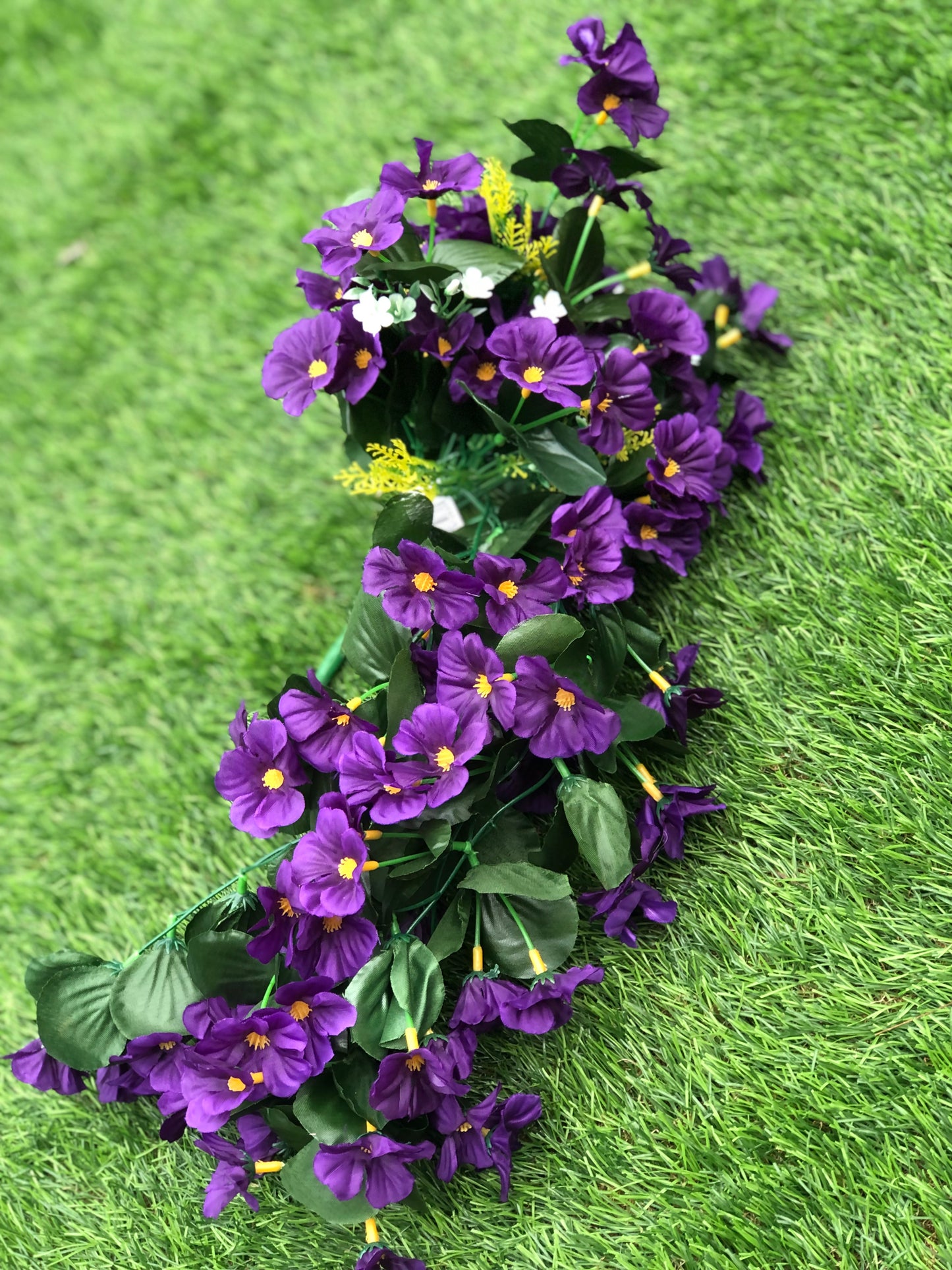 TRAILING NASTURTIUM PURPLE