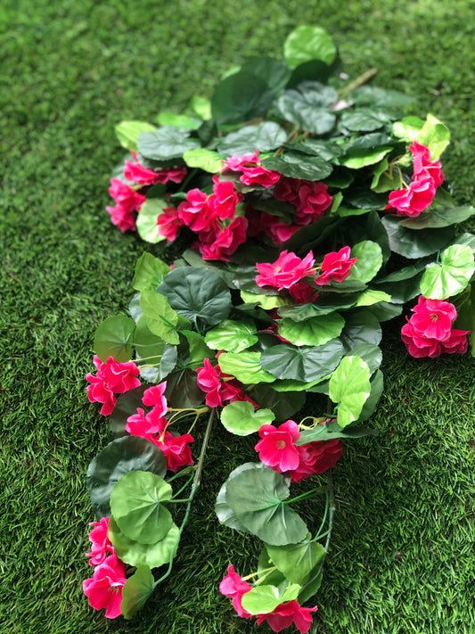 70cm GIANT TRAILING GERANIUM BUSH HOT PINK