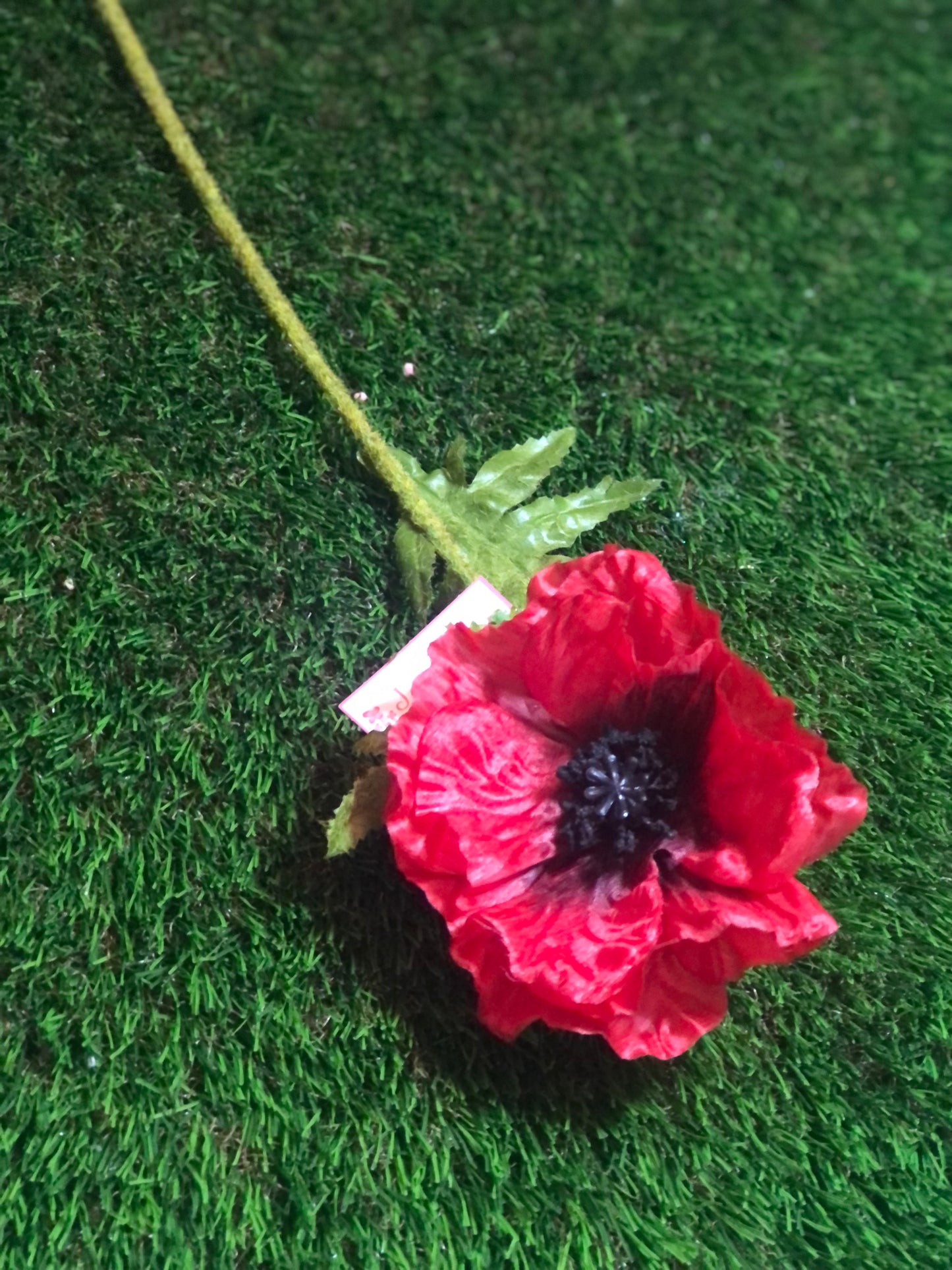 57cm SINGLE DELUXE POPPY