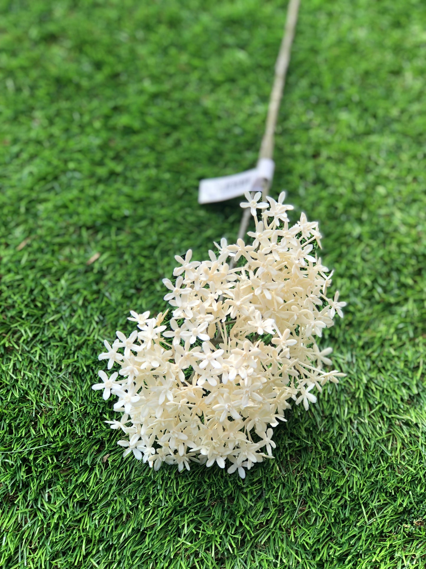 PLASTIC CROWN FLOWER IVORY 70cm