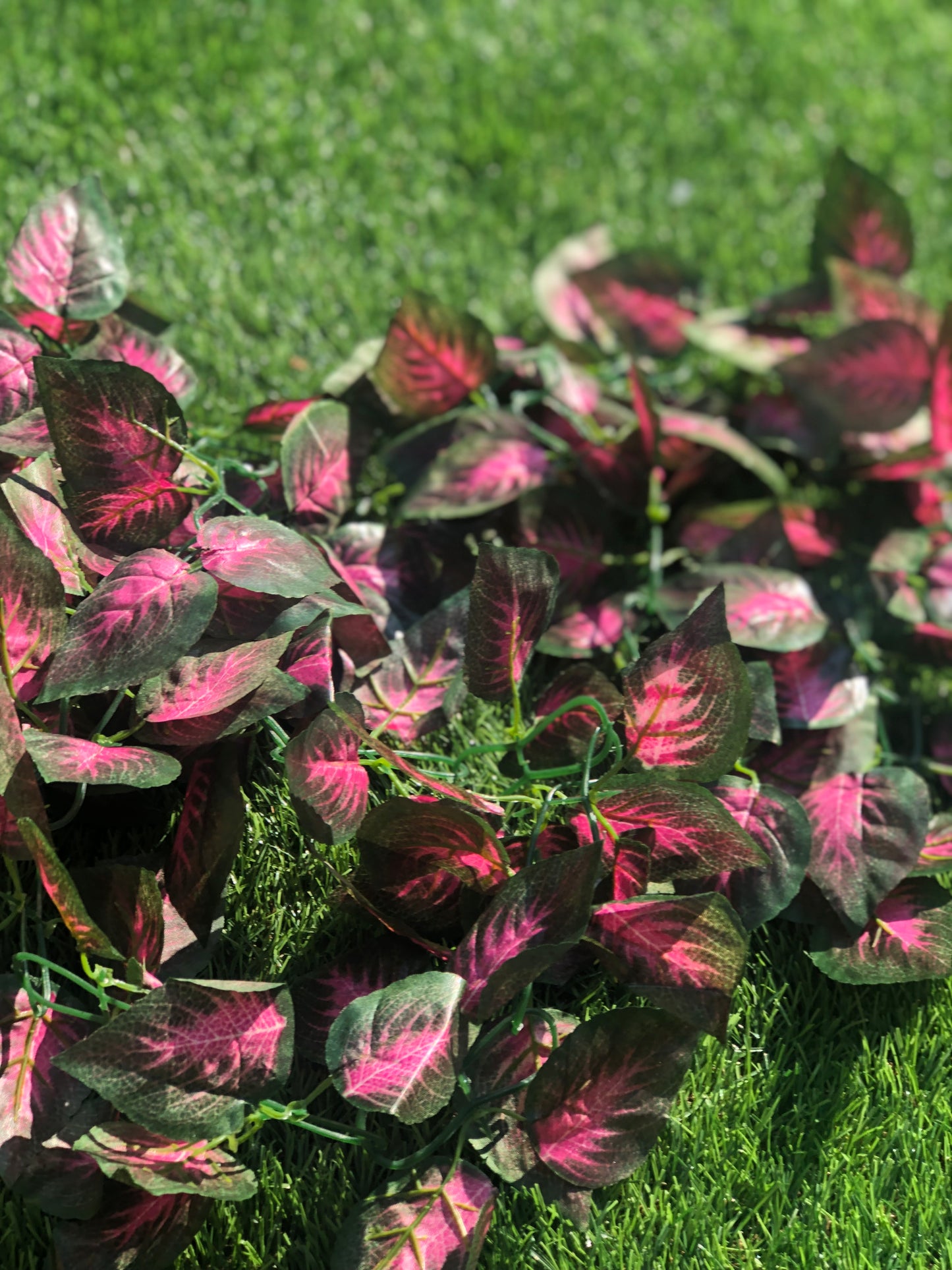 8ft CHAINLINK COLEUS GARLAND