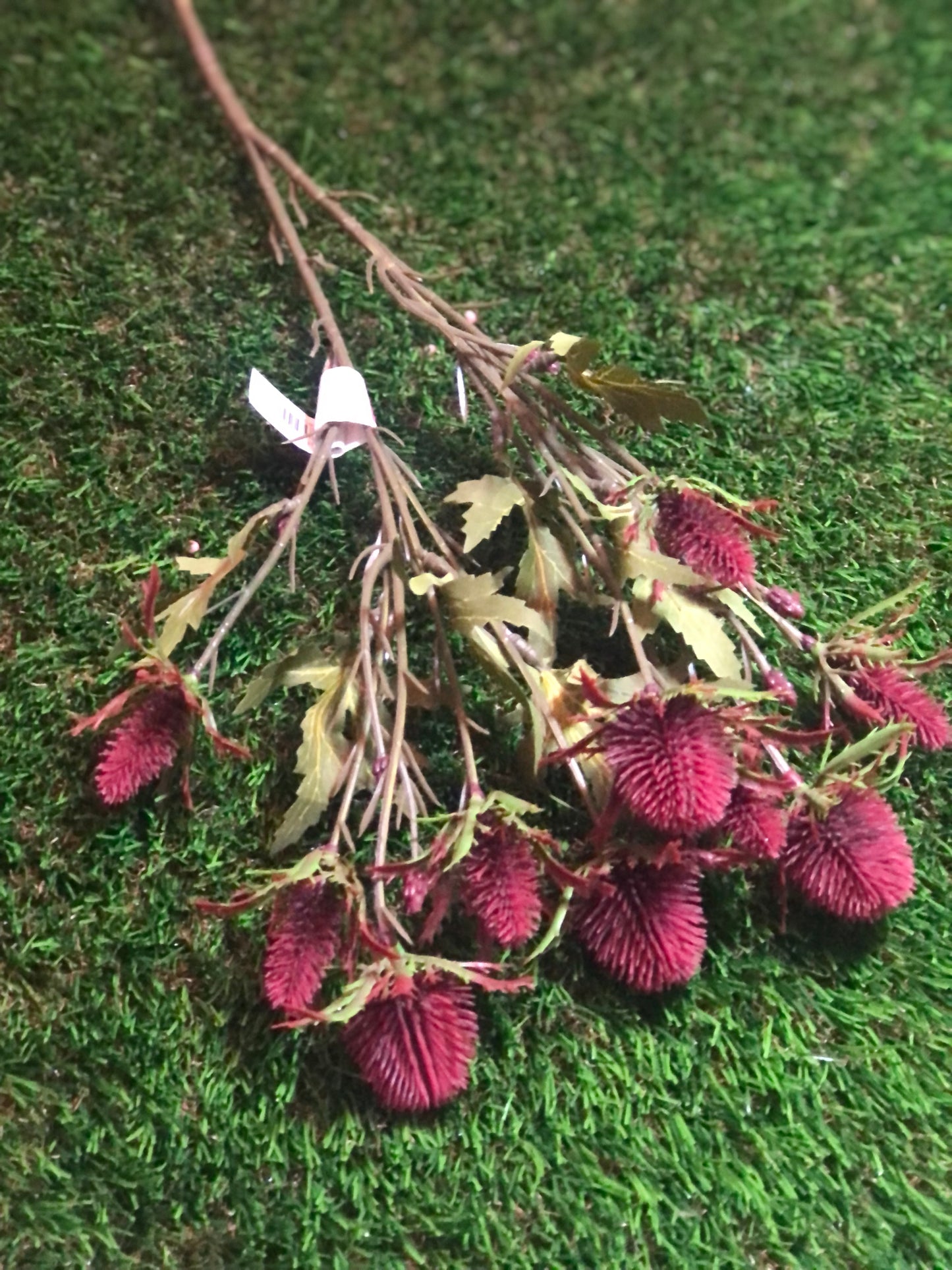 68cm SEA HOLLY BUNCH BURGUNDY