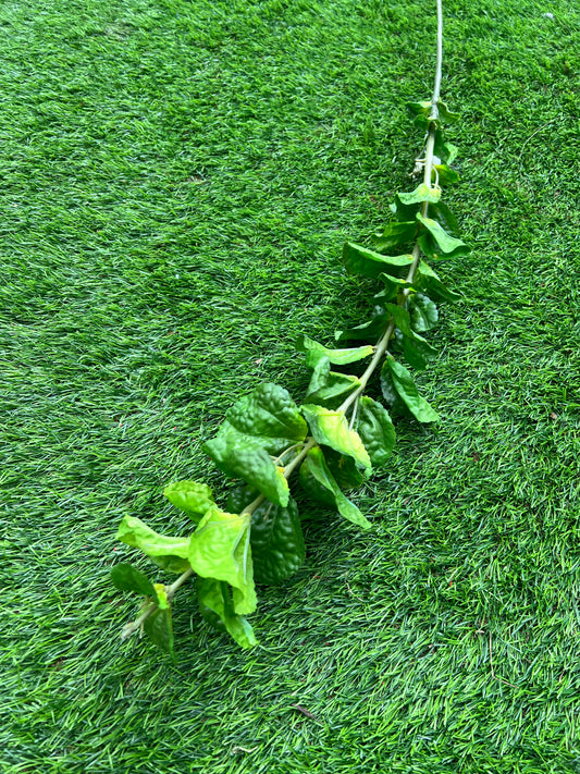 DARK GREEN LONG STEM FALL LEAF