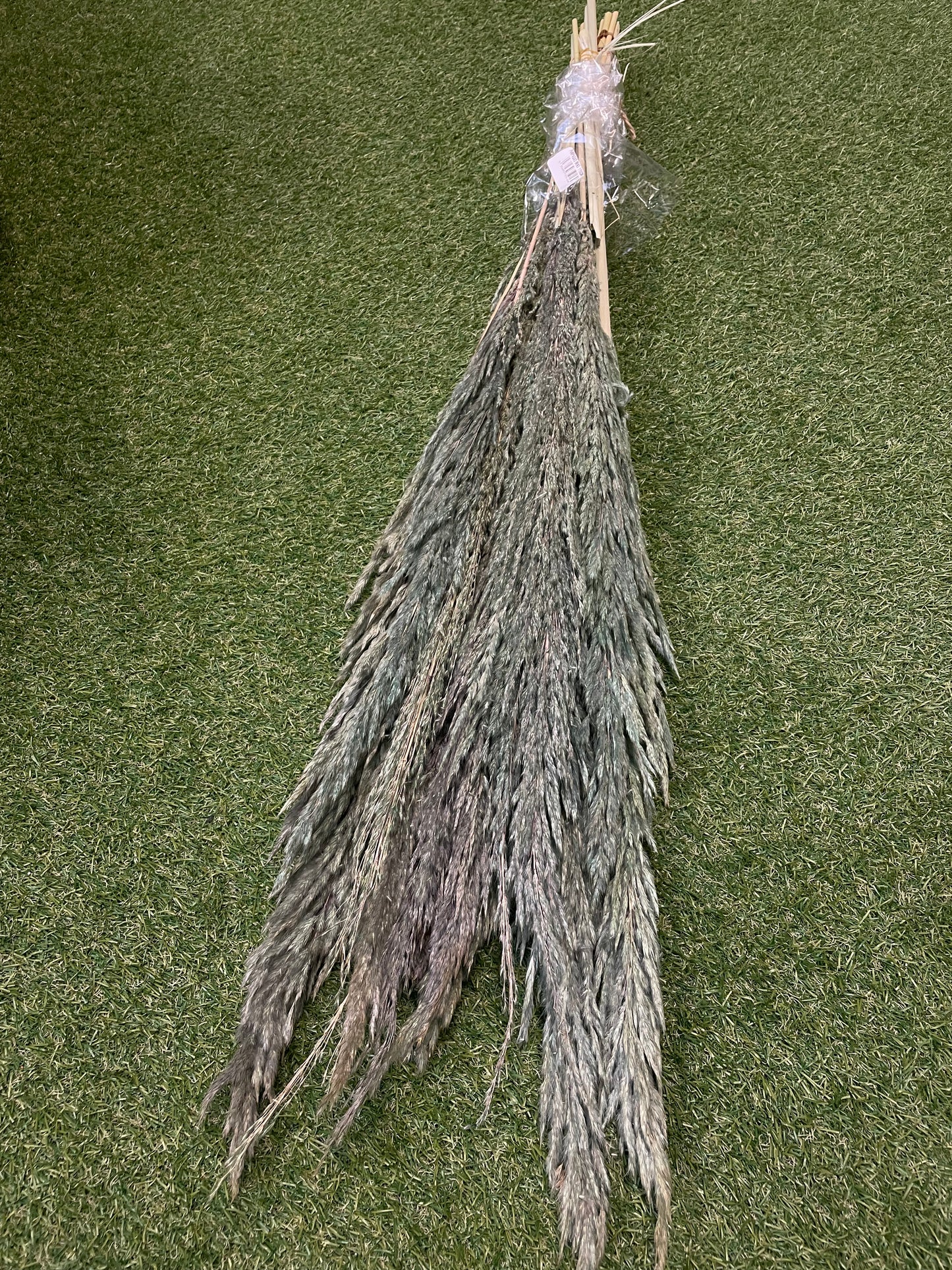 MINT FLUFFY PAMPAS 100cm