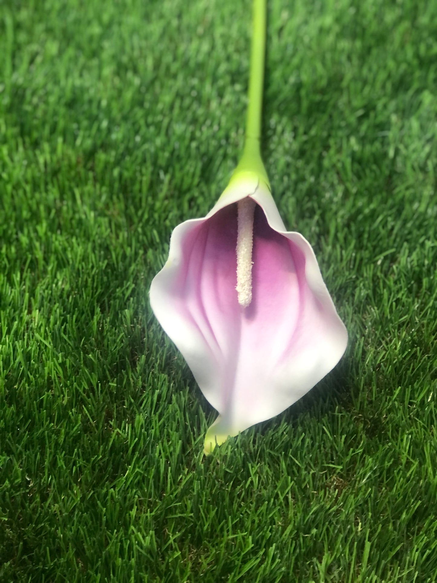 72cm LARGE SINGLE FOAM CALLA LILY PINK