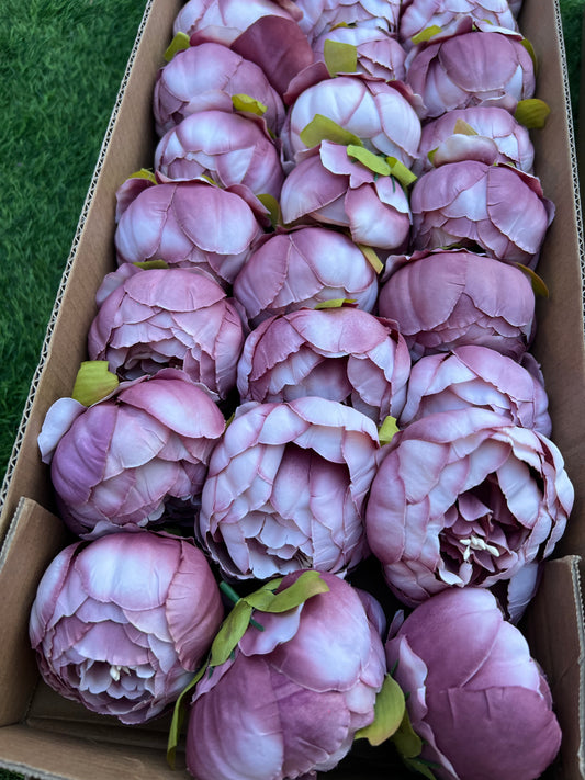 BOXED PEONY HEADS (36) MAUVE