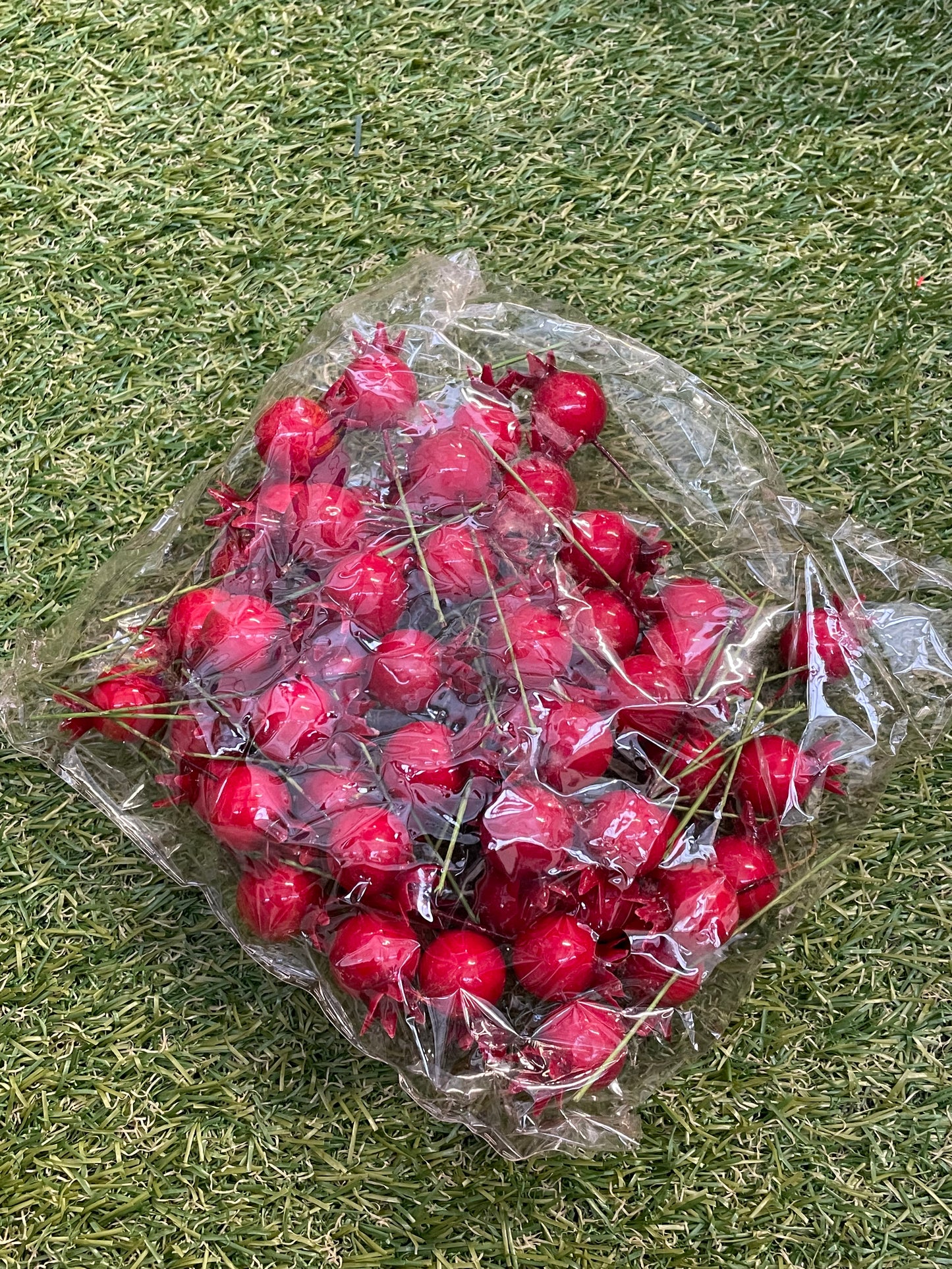 ROSE HIP PICKS PK50