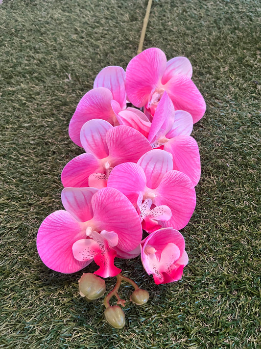 75cm PINK DELUXE ORCHID