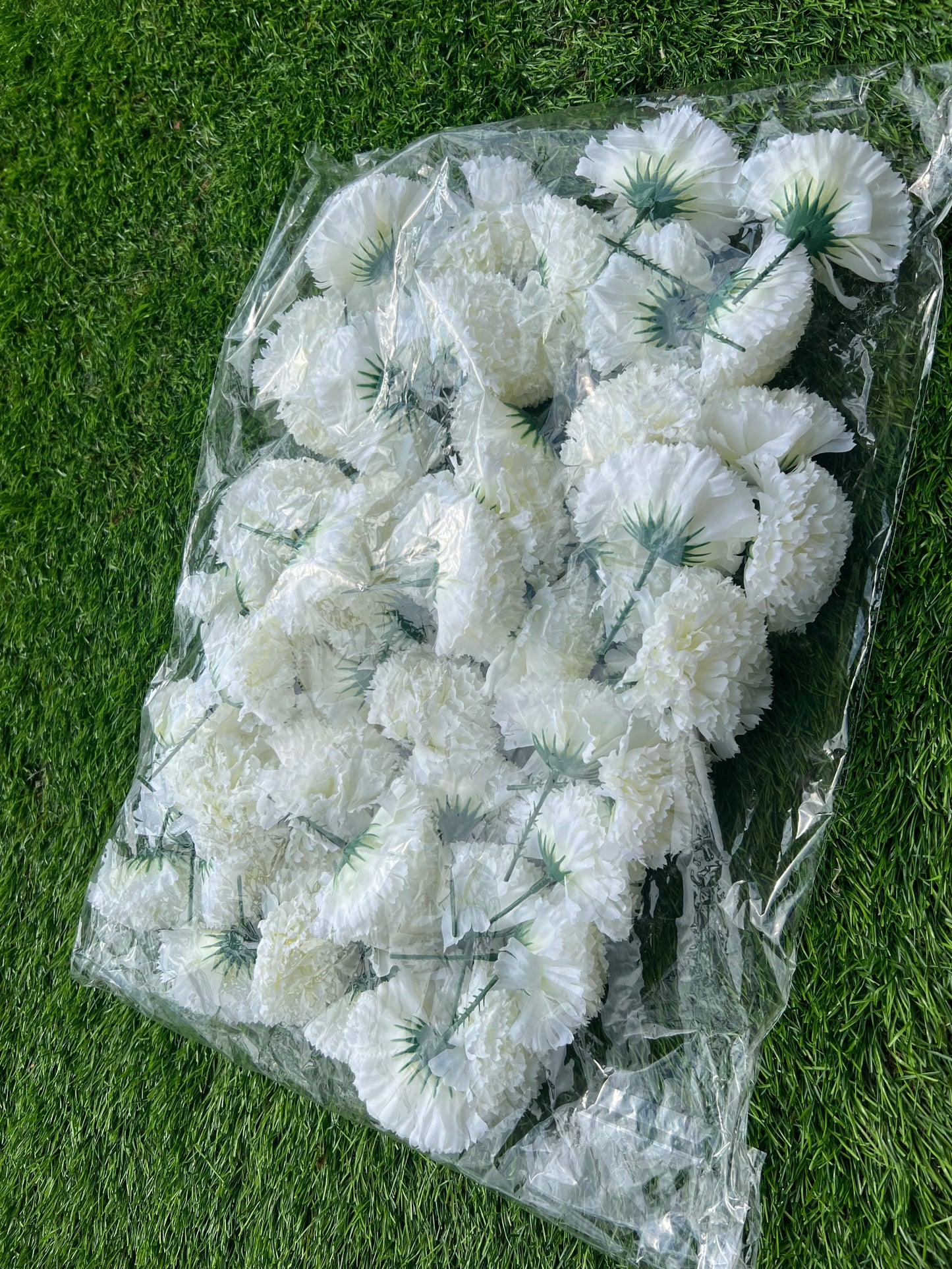 CARNATION PICK PK60 with stems IVORY