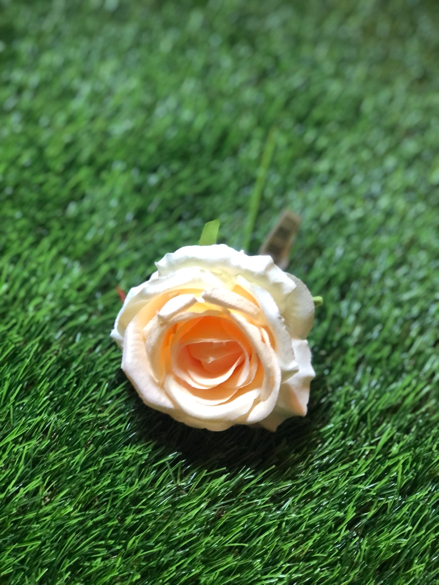 29CM SINGLE STEM ROSE PEACH