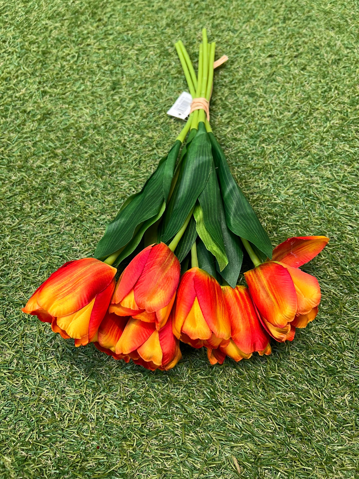 TULIP BUNCH ORANGE