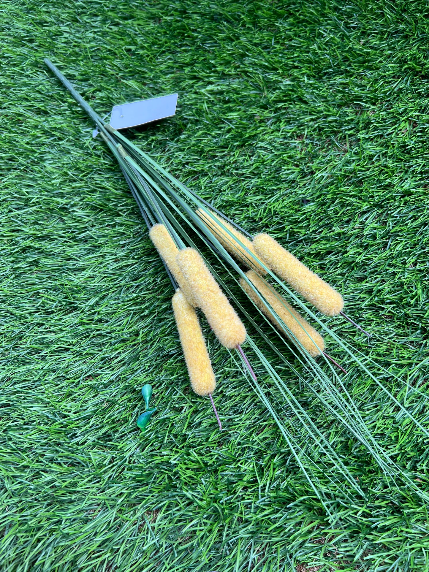 BULL RUSH WITH GRASS NATURAL