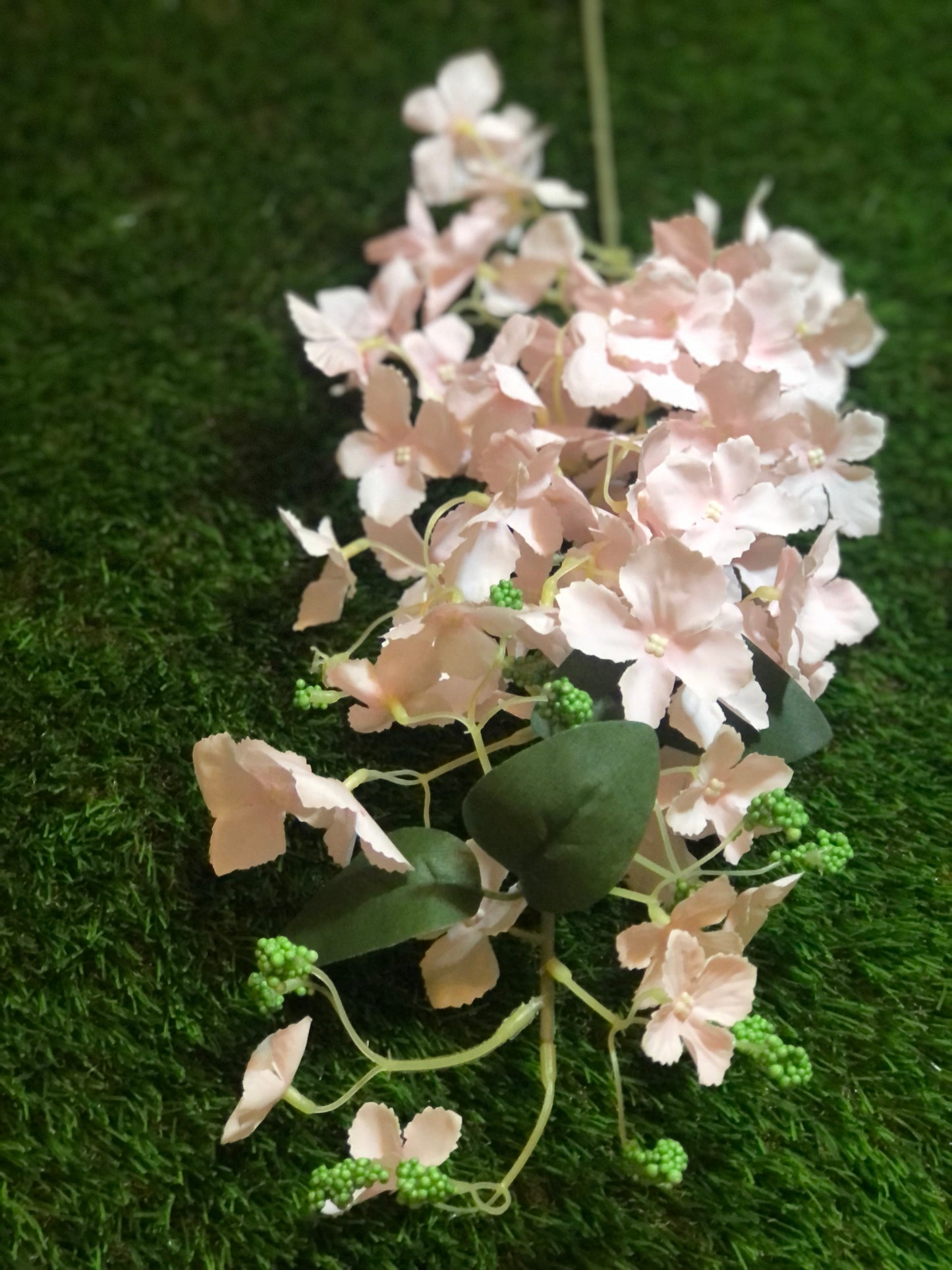 BULK TRAILING HYDRANGEA PINK