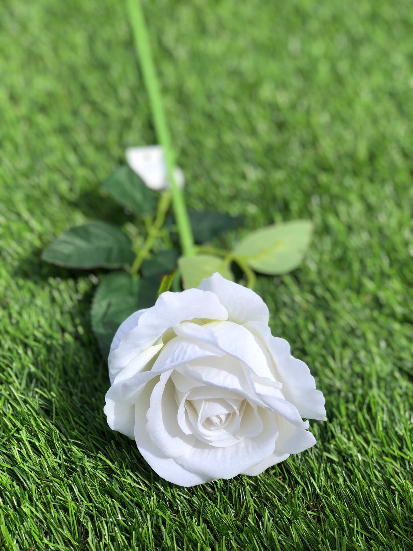 52cm SINGLE VELVET ROSE WHITE