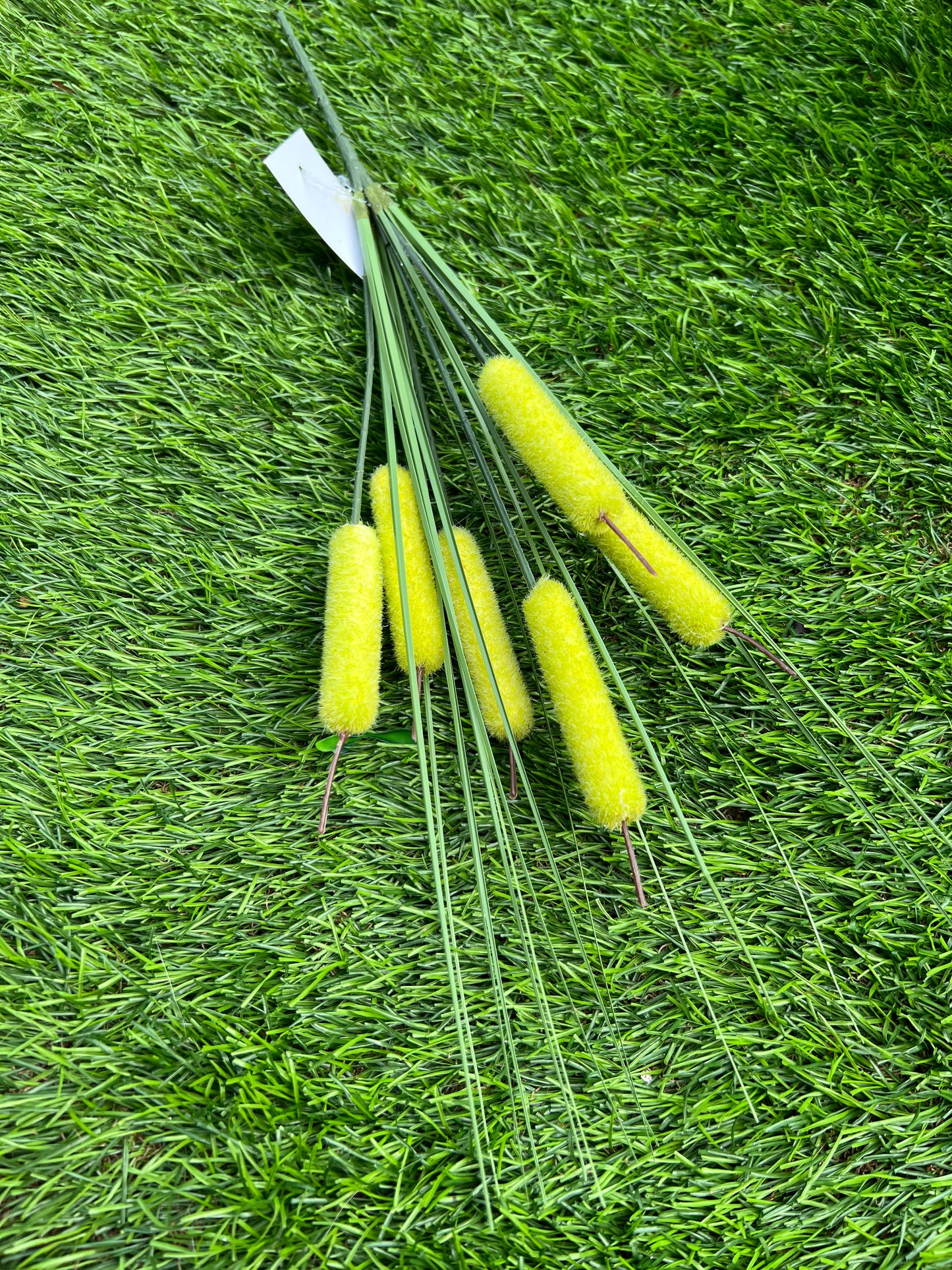 BULL RUSH WITH GRASS GREEN