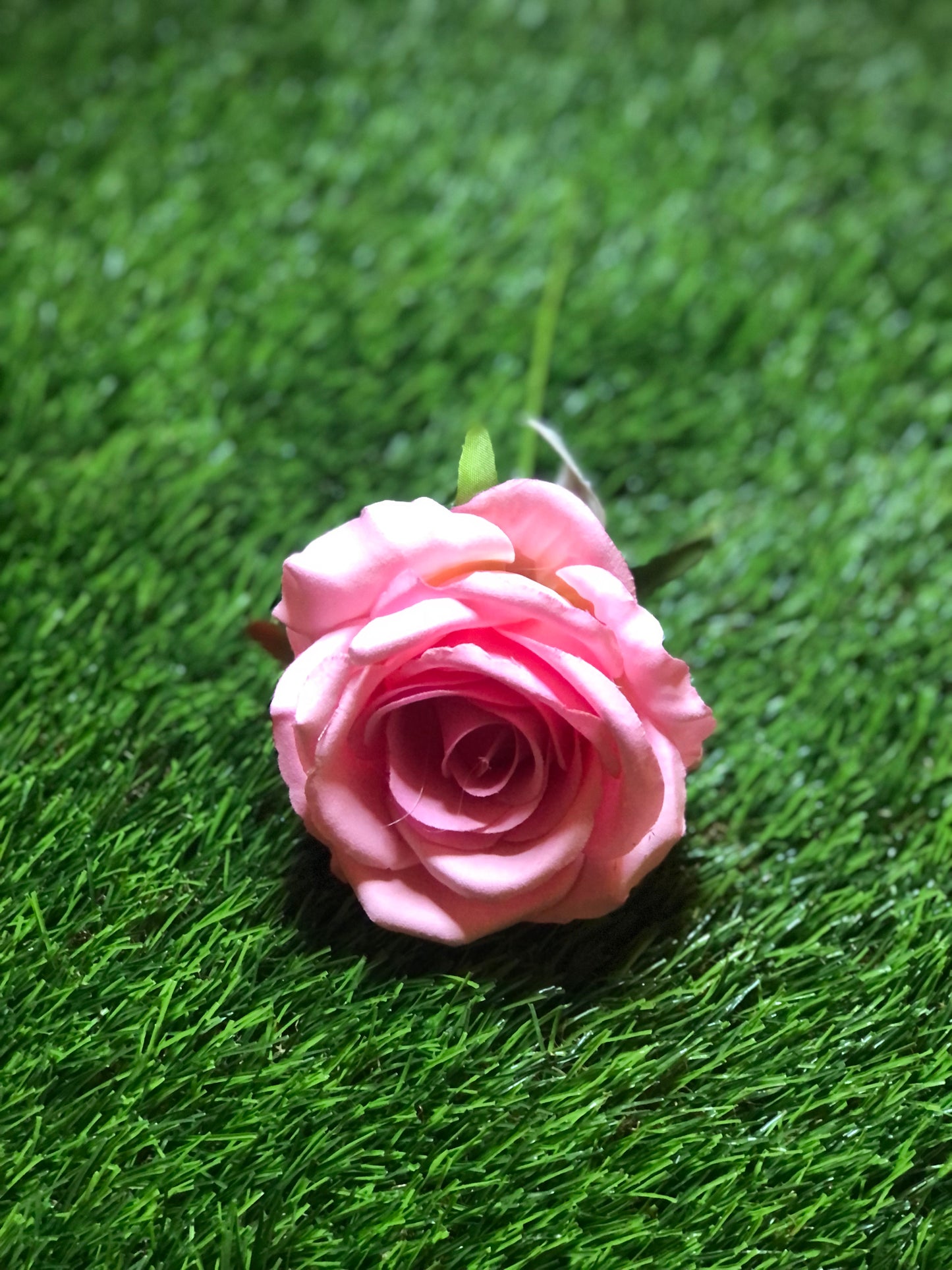 27cm SINGLE OPEN ROSE PINK