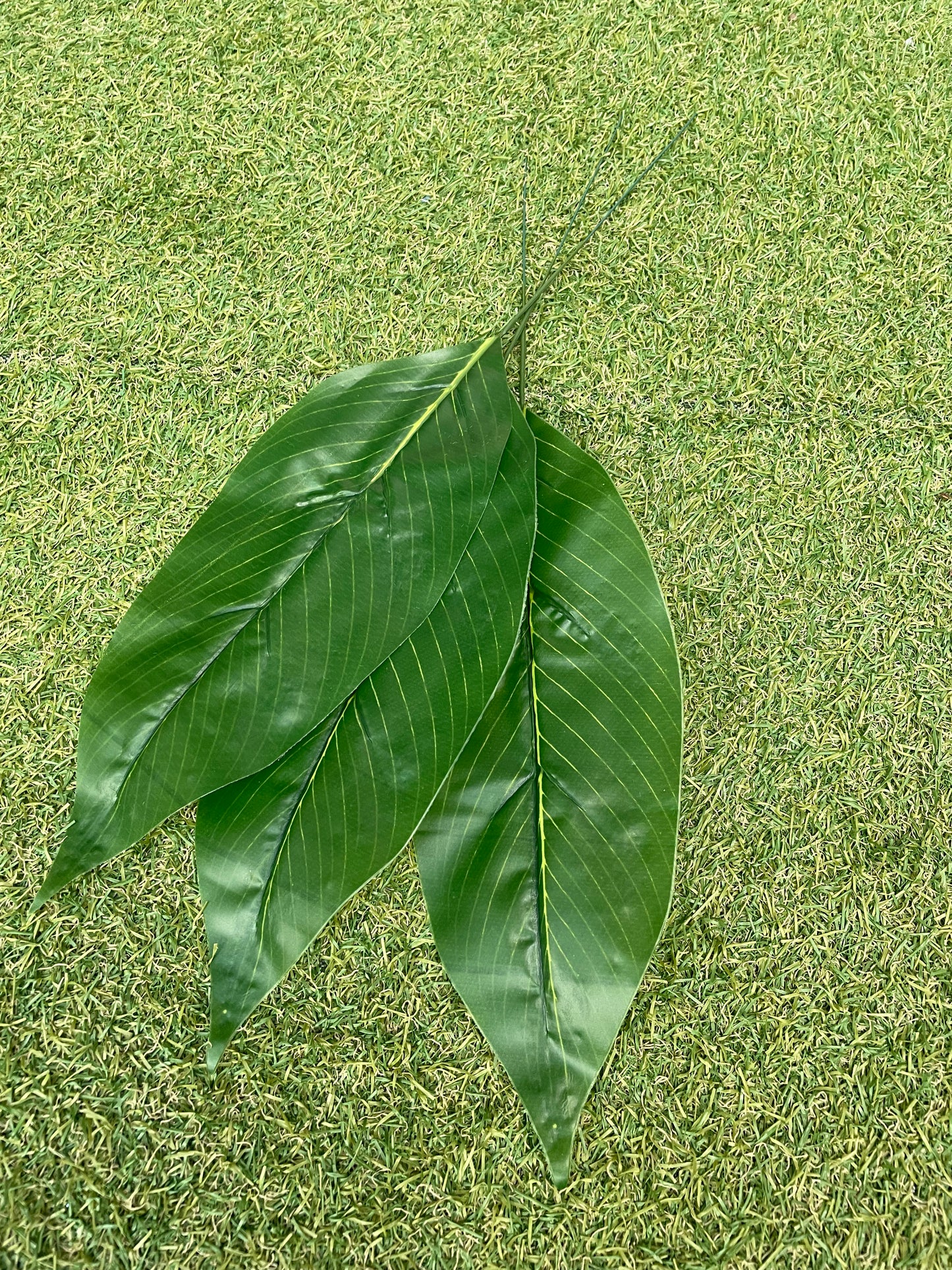 44cm ASPIDISTRA LEAVES PK 6