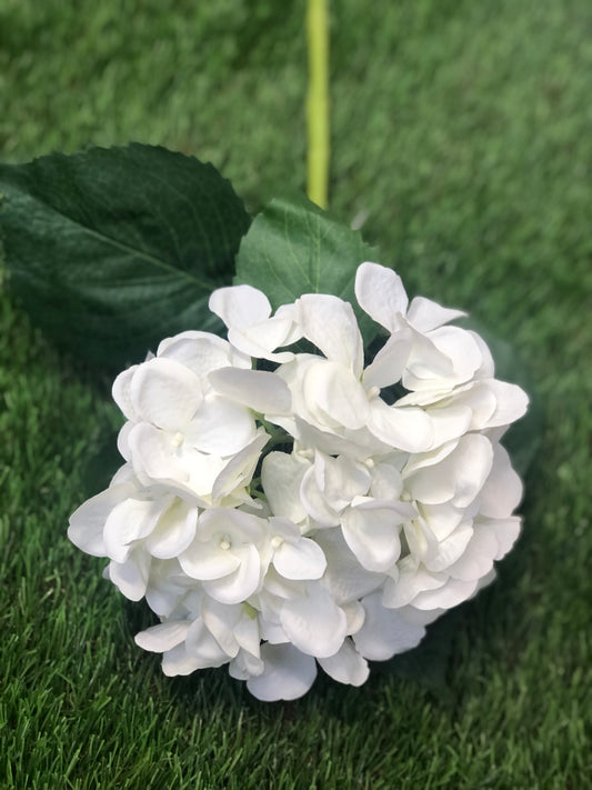 51cm SINGLE DELUXE HYDRANGEA IVORY